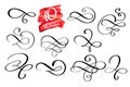 Vector set of calligraphic design flourish elements and page decorations. Elegant collection of hand drawn swirls and