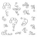 Vector set of calligraphic elements for design