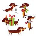Vector set of cartoon brown funny dachshund isolated on white
