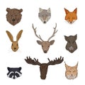 Vector Set of Cartoon Forest Animals Heads Royalty Free Stock Photo