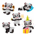 Vector set of cartoon funny panda isolated on white background. Royalty Free Stock Photo