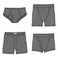 Vector Set of Cartoon Gray Mens Pants. Male Underwear