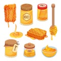 Vector set of cartoon honey icons. Natural and healthy homemade product. Bee honeycombs, jars and wooden dippers Royalty Free Stock Photo
