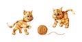 Vector set of cartoon images of cute different cats playing with clew isolated