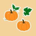 Vector set with cartoon orange pumpkin and green leaves. Royalty Free Stock Photo