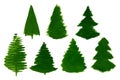 Vector Set of 7 Cartoon Pine Trees painted isolated