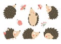 Vector set of cartoon style flat funny hedgehogs in different poses with dragonfly, butterfly, ladybug clip art. Cute illustration Royalty Free Stock Photo