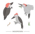 Vector set of cartoon style hand drawn flat funny woodpeckers in different poses. Cute illustration of woodland birds for children