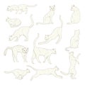 Vector Set of Cartoon White Cat Illustrations
