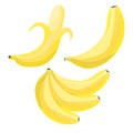 Set of Cartoon Bananas. Single Banana , Peeled Banana, Bunch of Bananas.