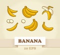 Vector Set of Cartoon Yellow Bananas.