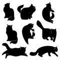 Vector set of cat silhouettes. Different postures: sitting, lying, resting, playing, hunting. Royalty Free Stock Photo