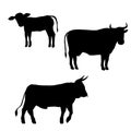 Vector Set of Cattle Silhouettes. Farm Animals Illustration Royalty Free Stock Photo