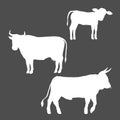 Vector Set of Cattle Silhouettes. Farm Animals Illustration Royalty Free Stock Photo