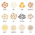 Different types of grains. Vector illustration.