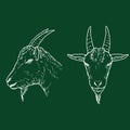 Vector Set of Chalk Goat Head Illustrations Royalty Free Stock Photo