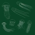 Vector Set of Chalk Sketch Jellyfishes