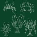Vector Set of Chalk Sketch Sea Animals. Omar, Lobster and Crab