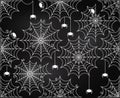 Vector Set of Chalkboard Style Cute and Creepy Spiderwebs Royalty Free Stock Photo