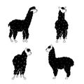 Vector set of llama, plant, flower Royalty Free Stock Photo