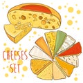 Vector set with cheeses. Cheese collection.