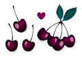 Vector Set of cherries. Separate berries and a group with a leaf.