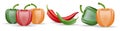 Vector Set of Chili Pepper and Colored Yellow Green and Red Sweet Bulgarian Bell Peppers, Paprika and Chili Isolated On Royalty Free Stock Photo