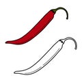 Vector set of 2 chili pepper image hand drawn outline and color drawing. Mexican food. Cinco de Mayo