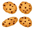 Vector set of chocolate chip cookies Royalty Free Stock Photo