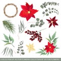 Vector set for Christmas design Royalty Free Stock Photo