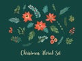 Vector set of Christmas floral elements. Needles, branches, flowers, leaves, berries.