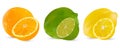 Vector set of citrus fruit lime, orange and lemon. Isolated sliced citrus on white background. Citrus halves