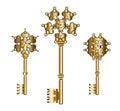 Vector Set Collection of Antique Golden Keys.