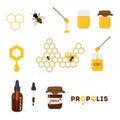 Vector set of color icons isolated on the white background. Propolis bottle dropper, honey dipper. Flat illustration Royalty Free Stock Photo