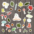 Vector set of colored autumn stickers on shabby wood background Royalty Free Stock Photo