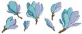 Vector set of colored botanical element, tender blooming magnolias blue