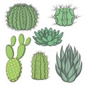 Vector set of colored cactus. EPS10