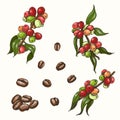 Vector set of colored coffee