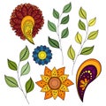 Vector Set of Colored Contour Flowers and Leaves
