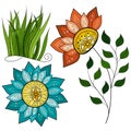 Vector Set of Colored Contour Flowers and Leaves