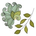 Vector Set of Colored Contour Flowers and Leaves