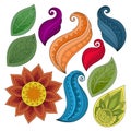 Vector Set of Colored Contour Flowers and Leaves