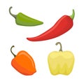 Vector Set of Colored Yellow Green Orange and Red Sweet Bulgarian Bell Peppers, Paprika Isolated Royalty Free Stock Photo