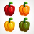 Vector Set of Colored Yellow Green Orange and Red Sweet Bulgarian Bell Peppers Royalty Free Stock Photo