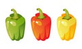 Vector Set of Colored Yellow Green Orange. Red, yellow and green sweet bulgarian bell peppers, paprika isolated on white