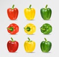 Vector Set of Colored Yellow Green and Red Sweet Bulgarian Bell Peppers, Paprika Isolated on Transparent Background Royalty Free Stock Photo