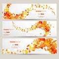 Vector set of colorful autumn leaves banners illustration Royalty Free Stock Photo