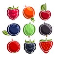 Vector Set colorful Berries icons
