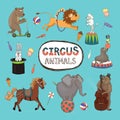 Vector set of colorful circus animals