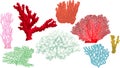 Vector set of colorful corals illustration